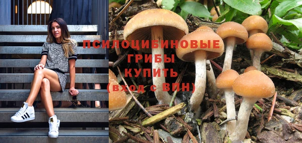 таблы Верея