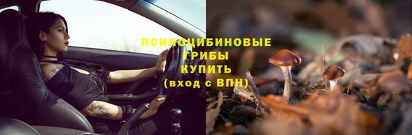 СК Рославль